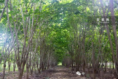 三客游 產銷資訊 四十